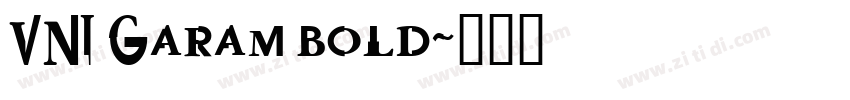VNI Garam bold字体转换